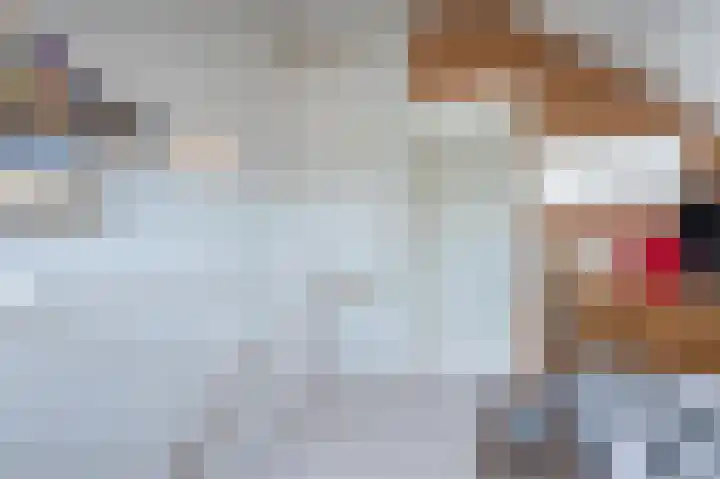 Vogelenzang 8 Rhenen thumbnail 35