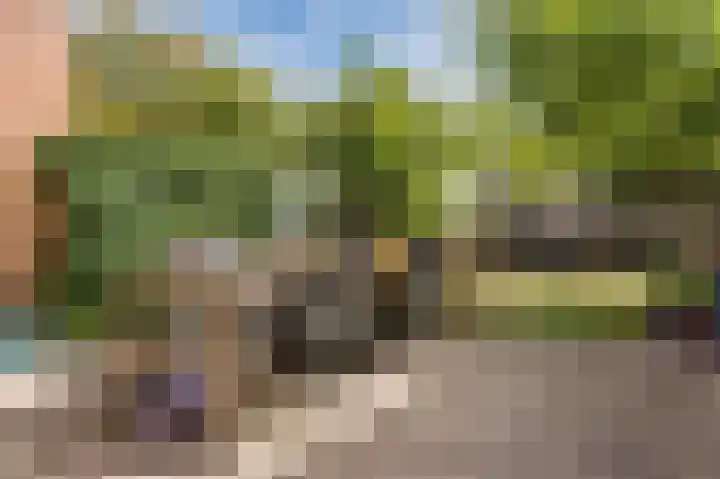 Vogelenzang 8 Rhenen thumbnail 38