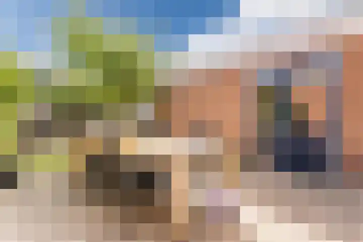 Vogelenzang 8 Rhenen thumbnail 39