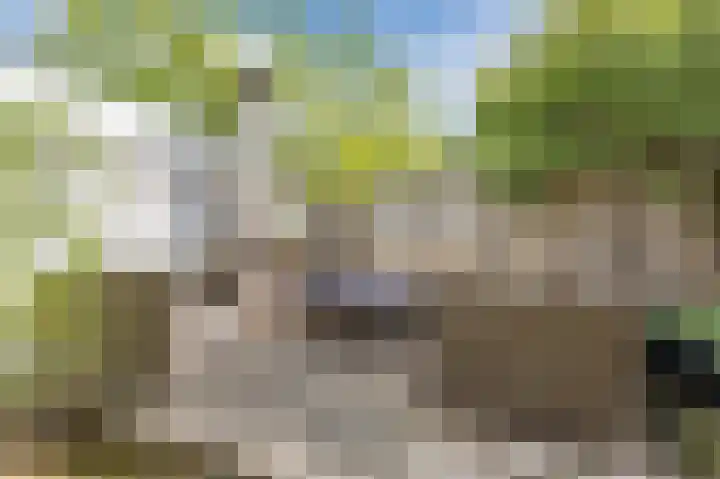 Vogelenzang 8 Rhenen thumbnail 40