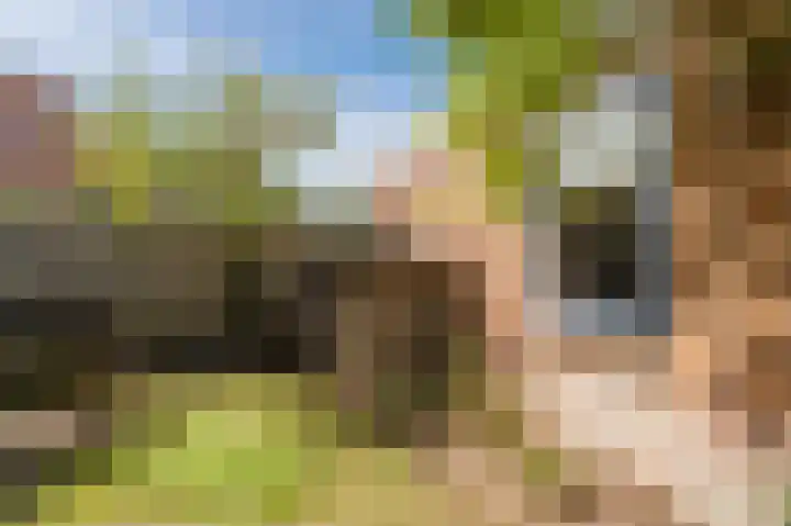 Vogelenzang 8 Rhenen thumbnail 42