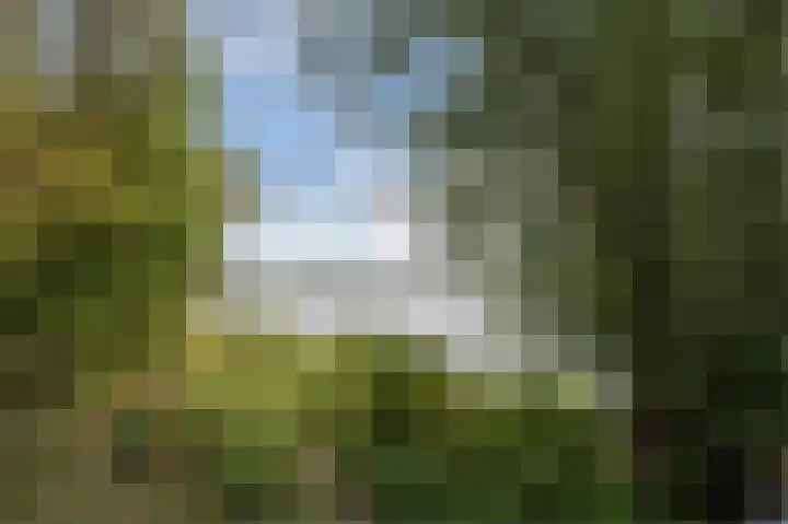 Vogelenzang 8 Rhenen thumbnail 44