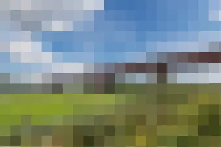 Vogelenzang 8 Rhenen thumbnail 45