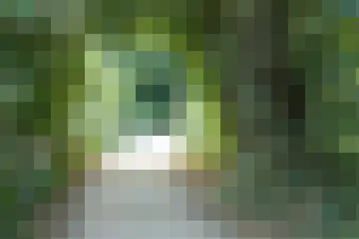 Vogelenzang 8 Rhenen thumbnail 46