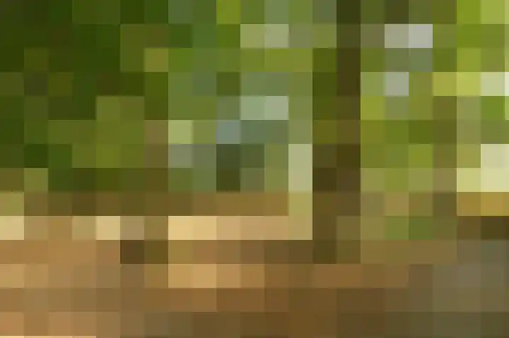 Vogelenzang 8 Rhenen thumbnail 47