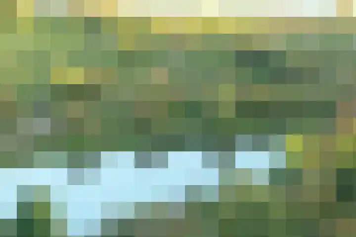 Vogelenzang 8 Rhenen thumbnail 48