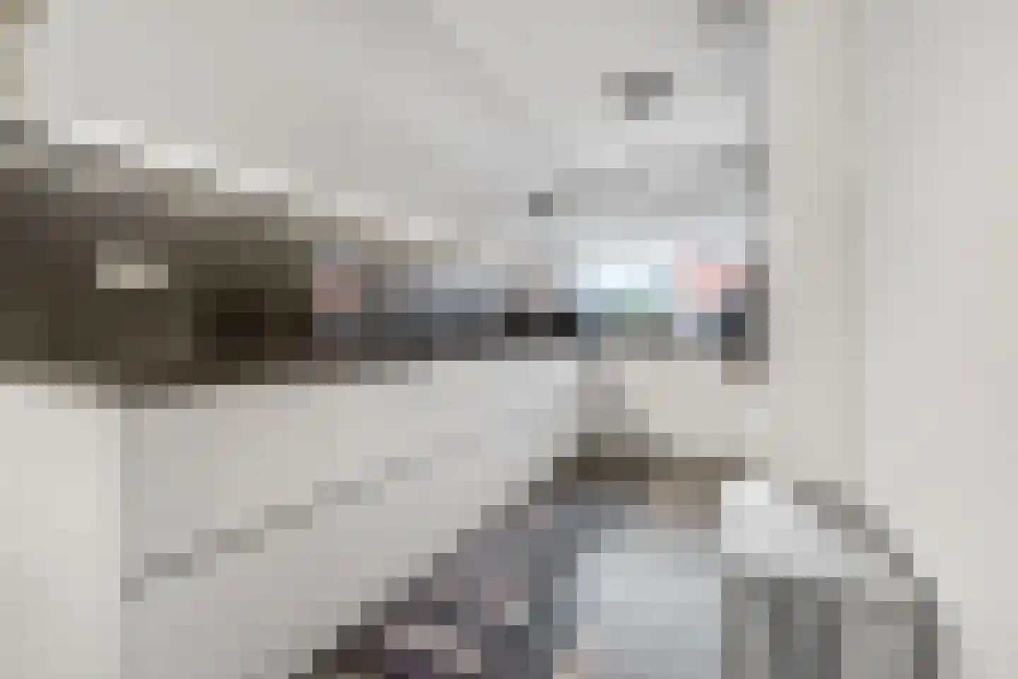 Vogelenzanglaan 13 Den Haag thumbnail 12