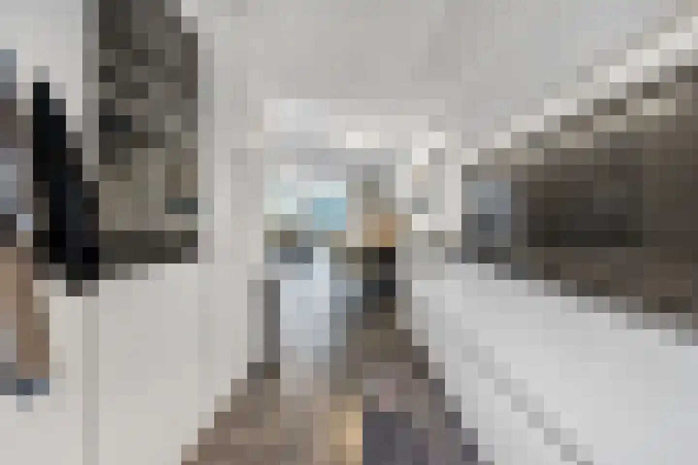 Vogelenzanglaan 13 Den Haag thumbnail 15