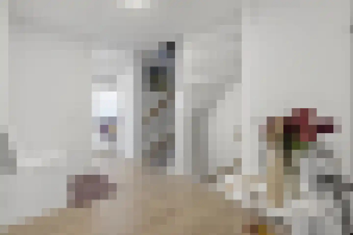 Vogelenzanglaan 13 Den Haag thumbnail 20
