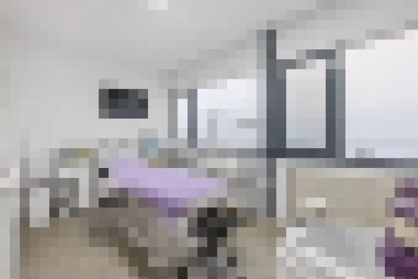 Vogelenzanglaan 13 Den Haag thumbnail 21