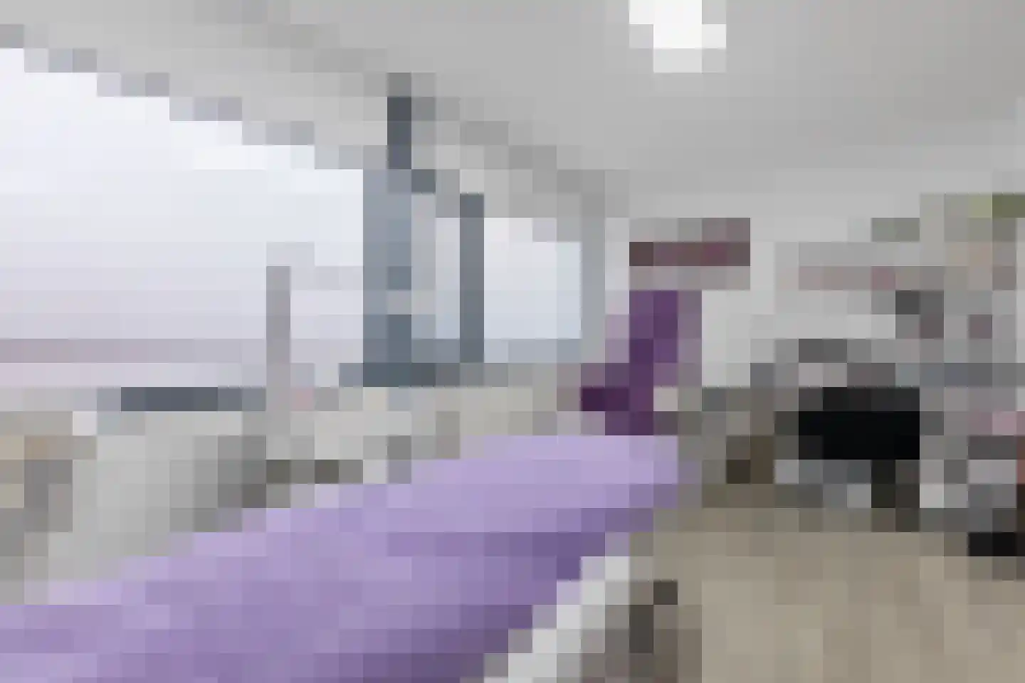 Vogelenzanglaan 13 Den Haag thumbnail 22