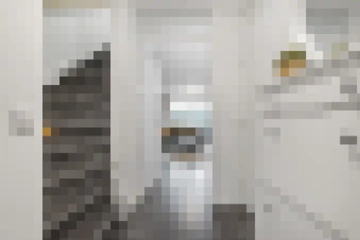 Vogelenzanglaan 13 Den Haag thumbnail 4