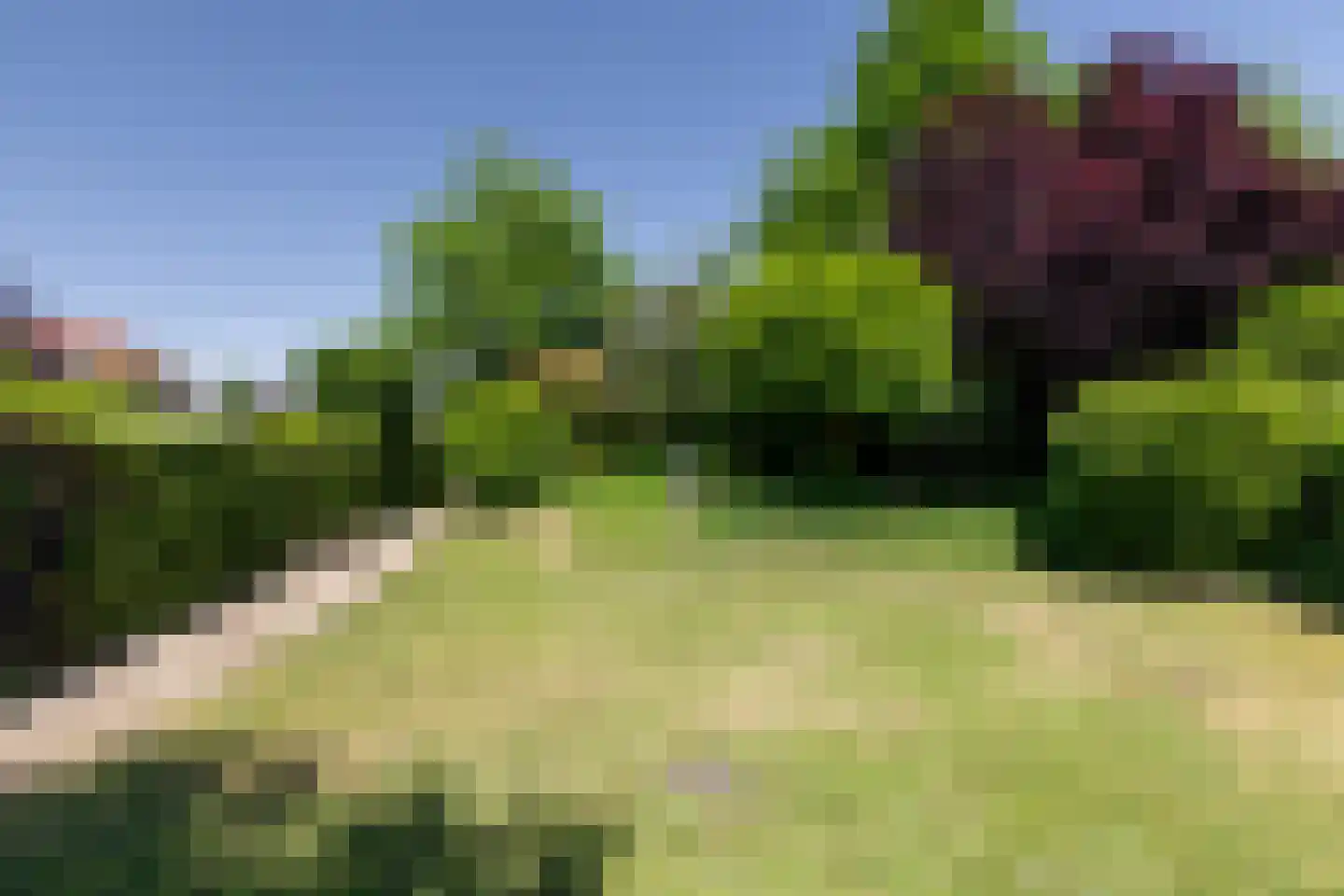 Vogelenzanglaan 17 Breda thumbnail 36