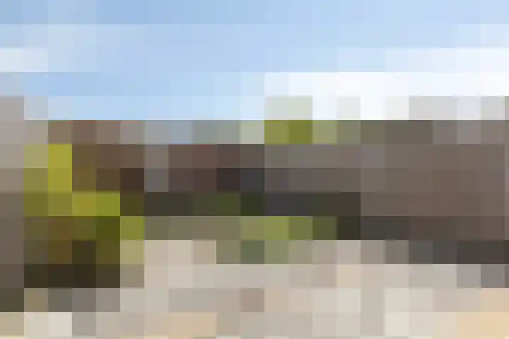 Vogelenzanglaan 23 Spijkenisse thumbnail 12