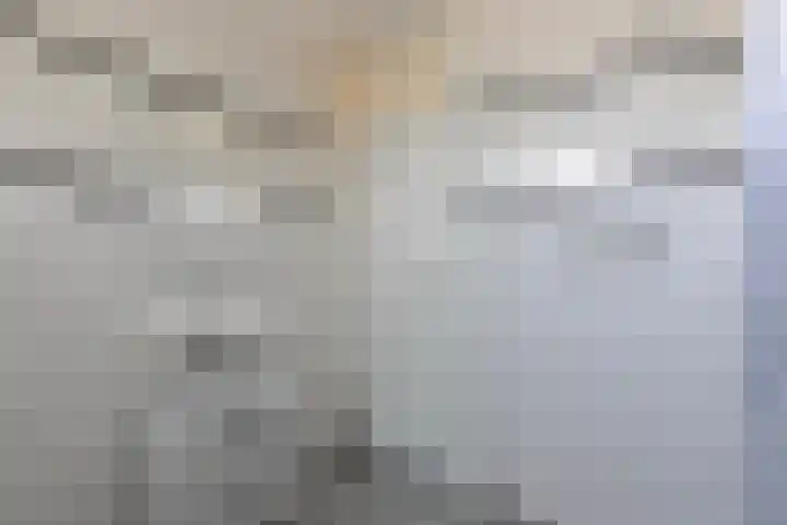 Vogelenzanglaan 23 Spijkenisse thumbnail 20
