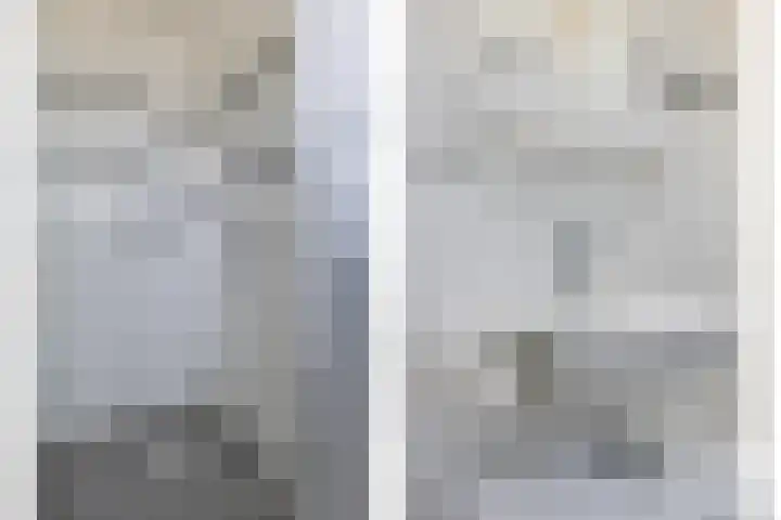 Vogelenzanglaan 23 Spijkenisse thumbnail 21