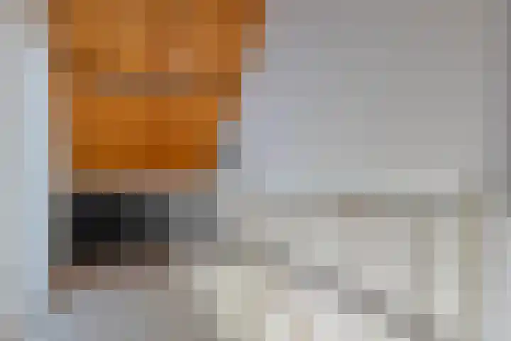 Vogelenzanglaan 23 Spijkenisse thumbnail 22