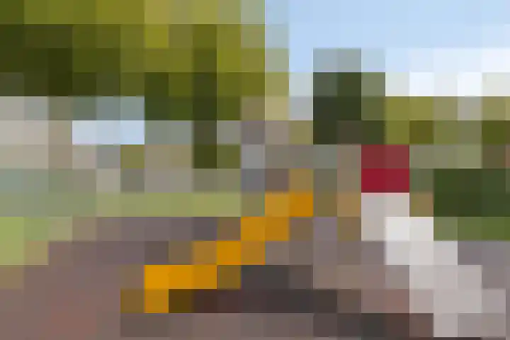 Vogelenzanglaan 23 Spijkenisse thumbnail 25