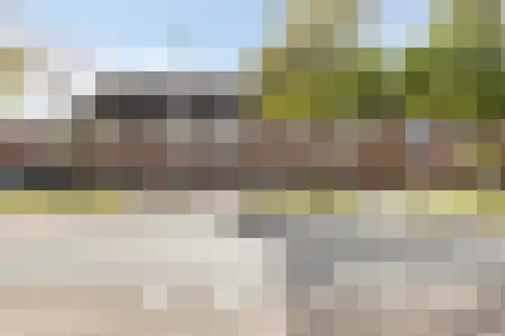 Vogelenzanglaan 23 Spijkenisse thumbnail 26