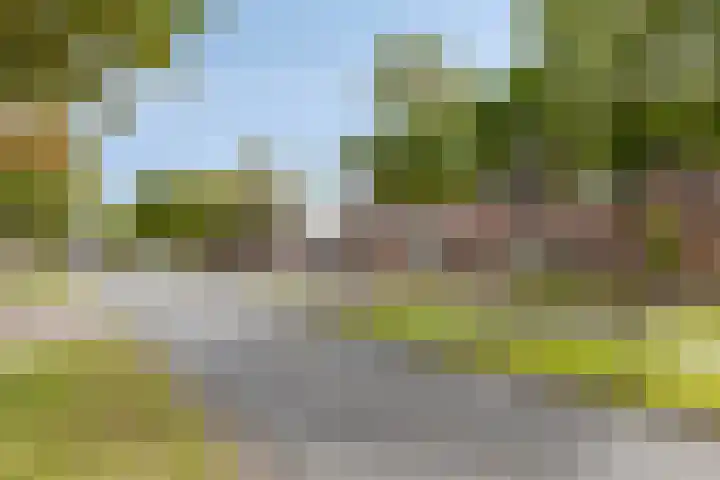 Vogelenzanglaan 23 Spijkenisse thumbnail 4