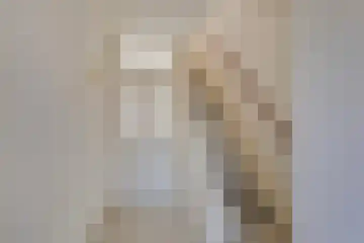 Vogelenzanglaan 23 Spijkenisse thumbnail 5