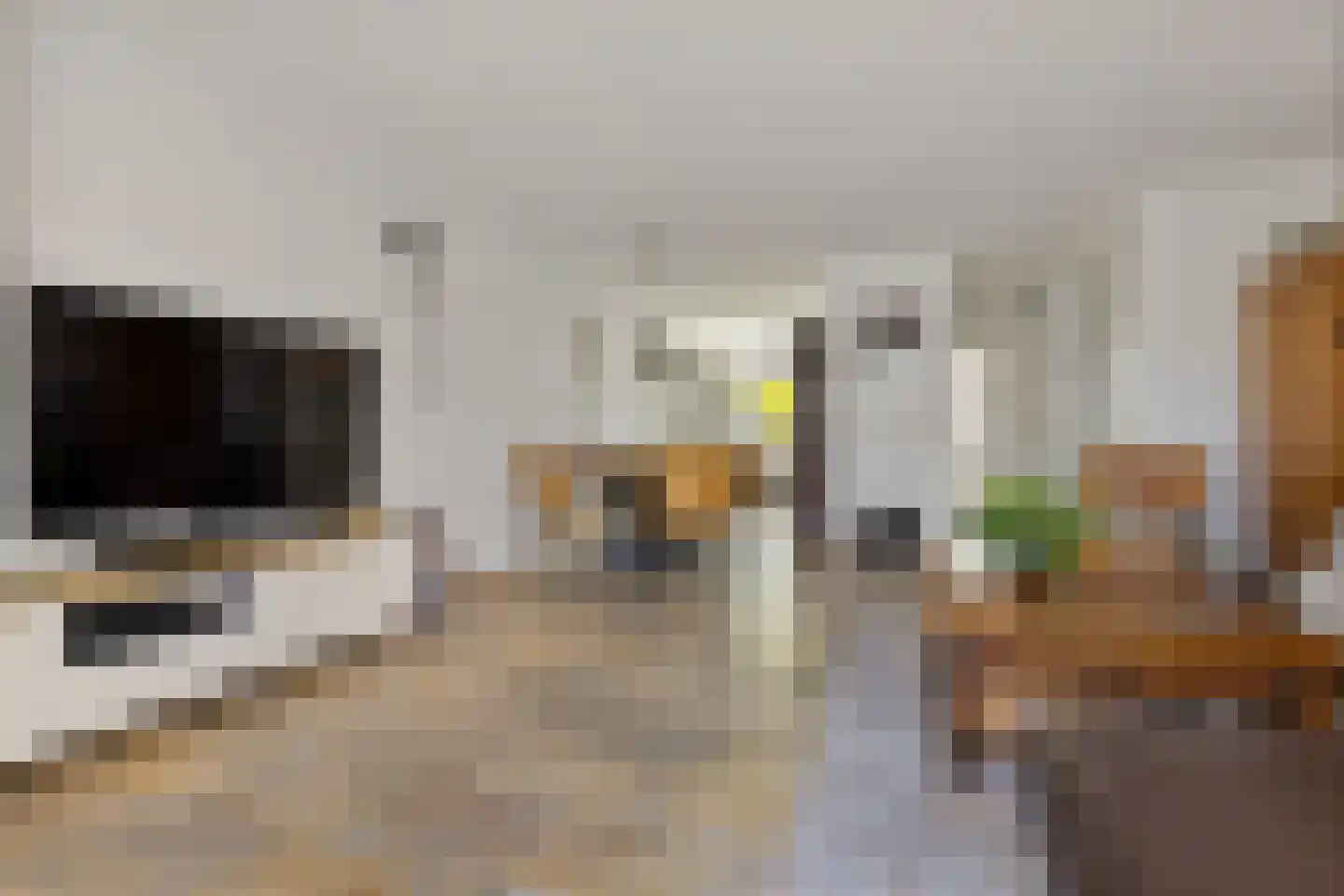 Vogelenzanglaan 5 Den Haag thumbnail 11