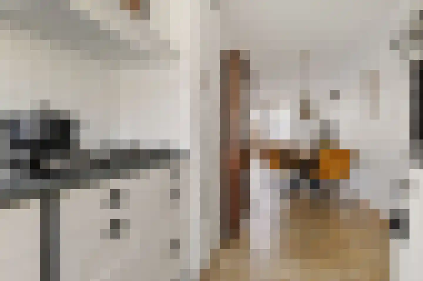 Vogelenzanglaan 5 Den Haag thumbnail 14