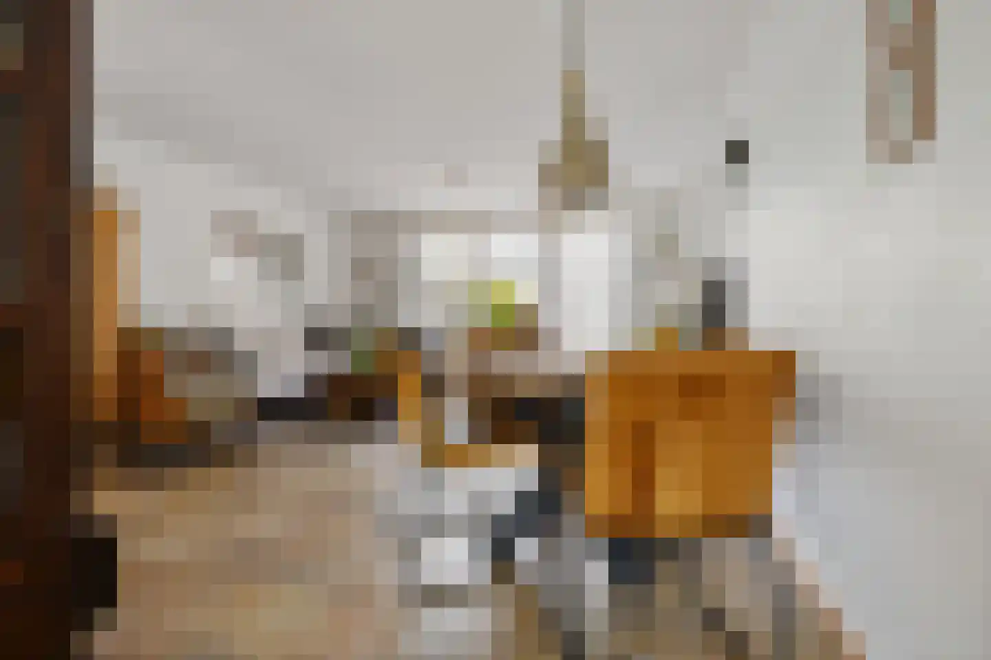 Vogelenzanglaan 5 Den Haag thumbnail 15