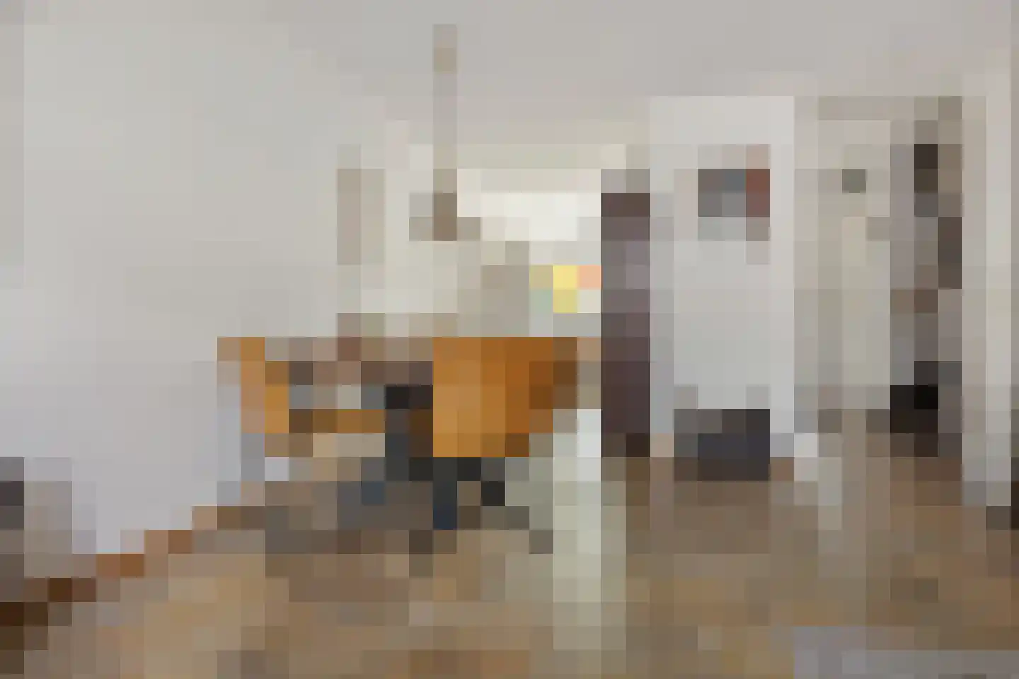 Vogelenzanglaan 5 Den Haag thumbnail 16