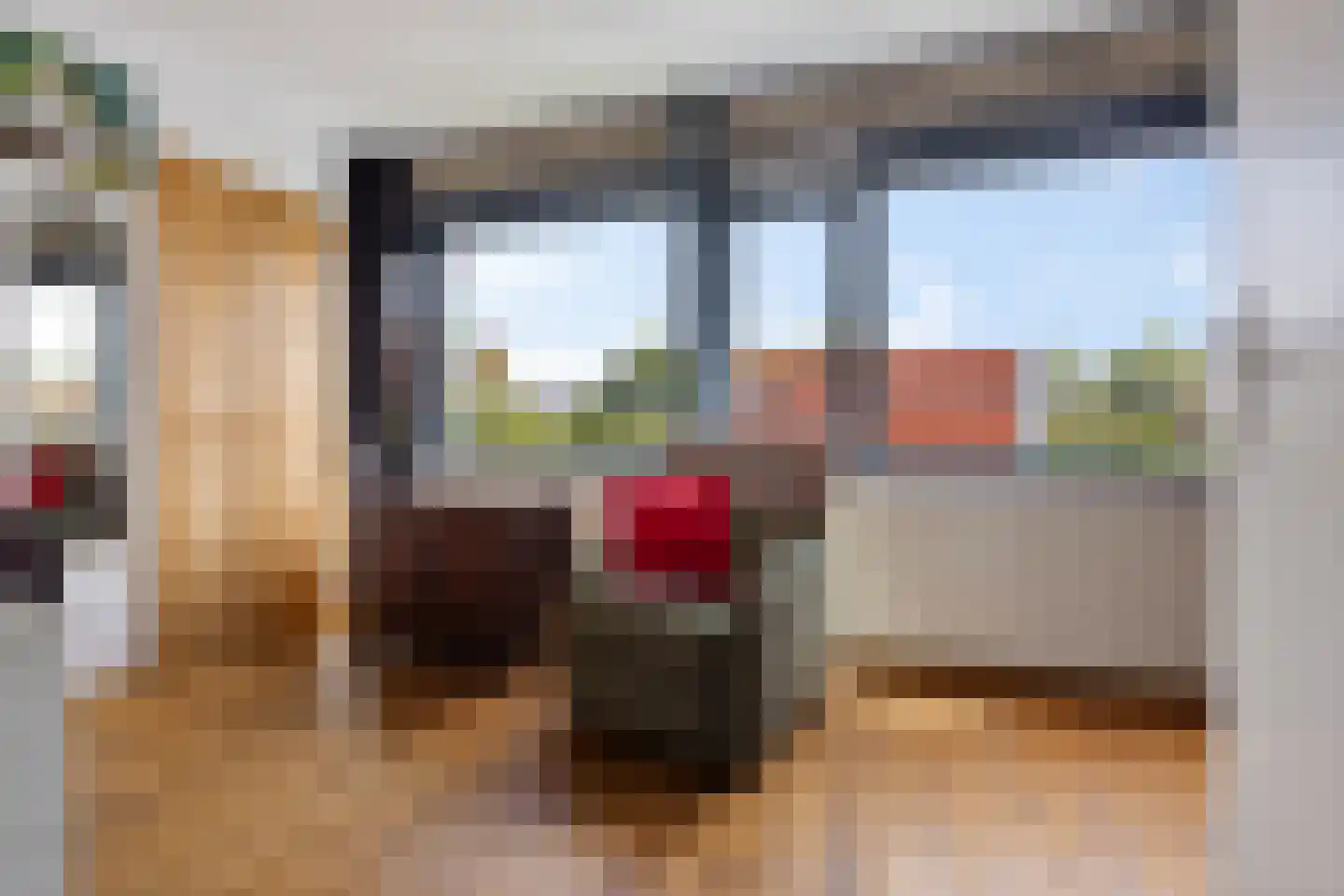 Vogelenzanglaan 5 Den Haag thumbnail 24