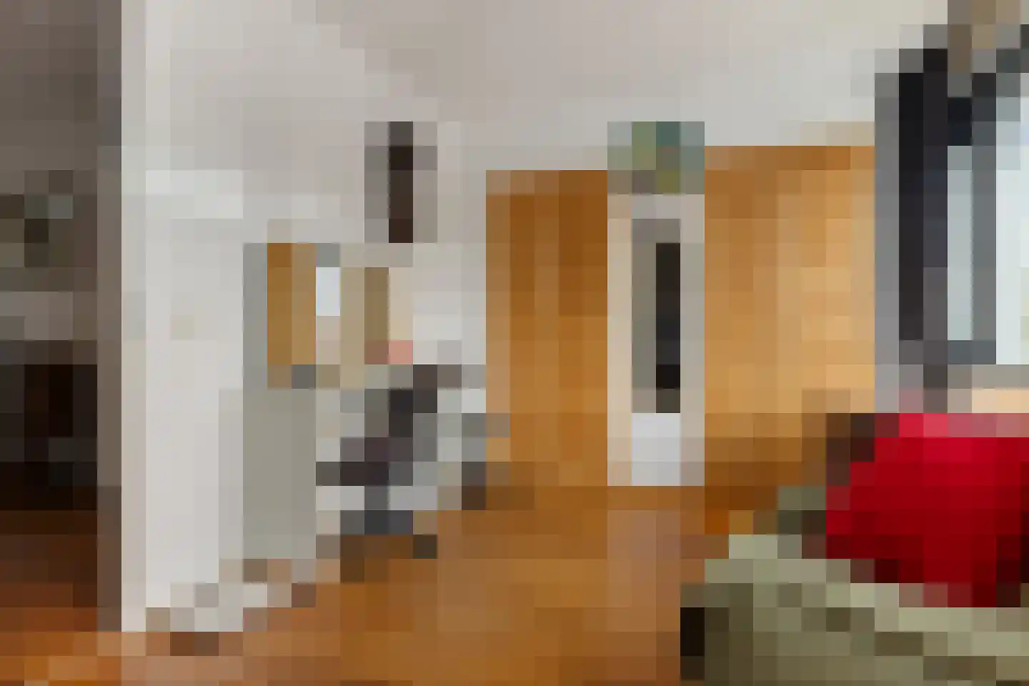 Vogelenzanglaan 5 Den Haag thumbnail 25