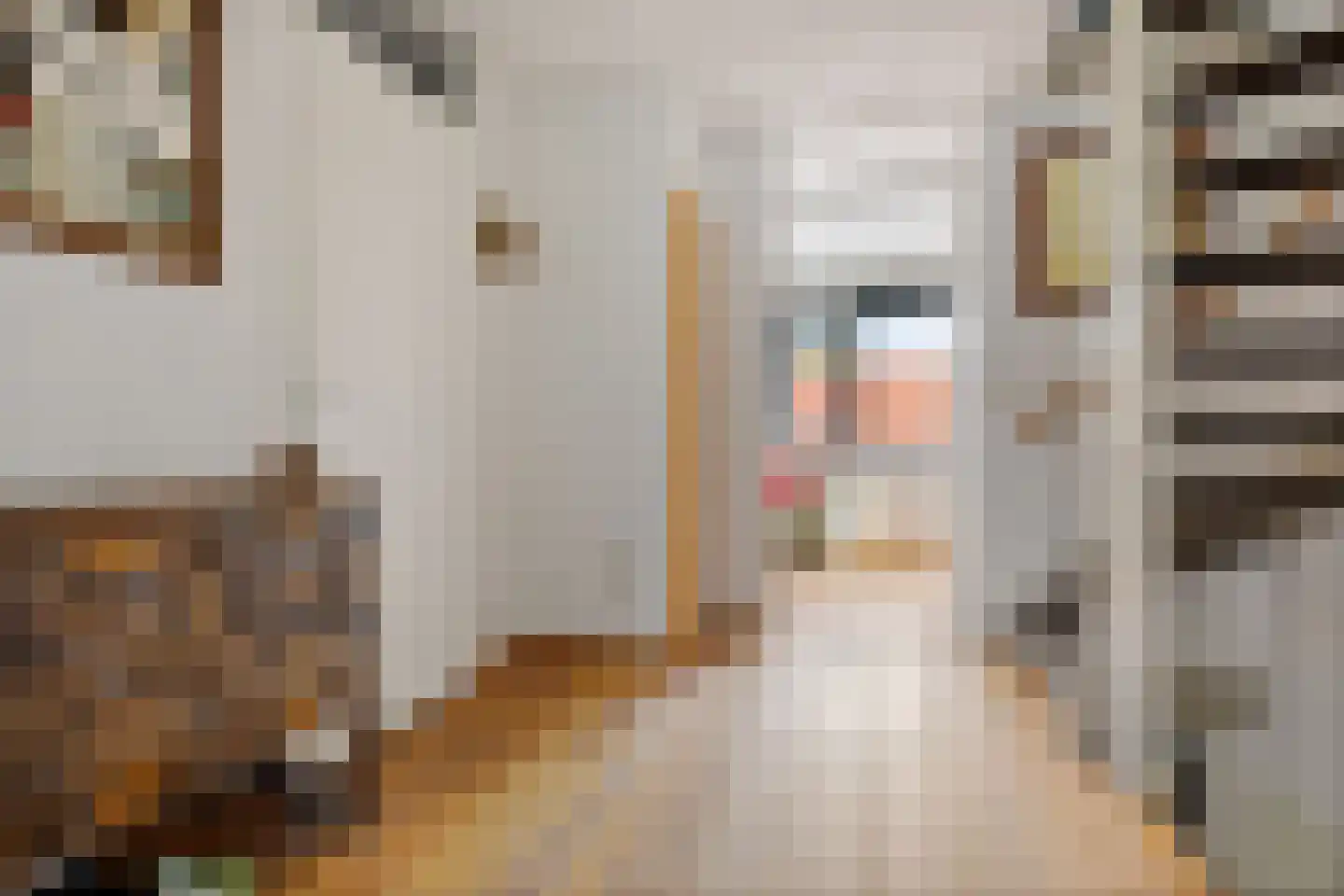 Vogelenzanglaan 5 Den Haag thumbnail 28