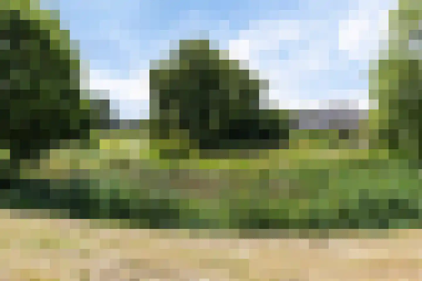 Vogelenzanglaan 5 Den Haag thumbnail 49