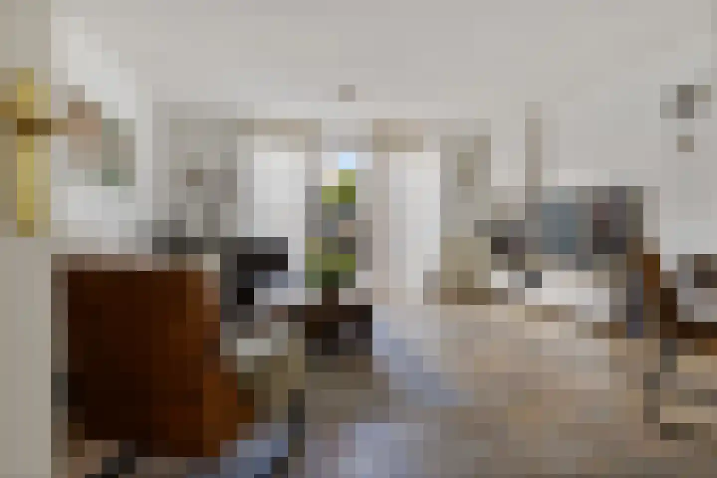 Vogelenzanglaan 5 Den Haag thumbnail 8