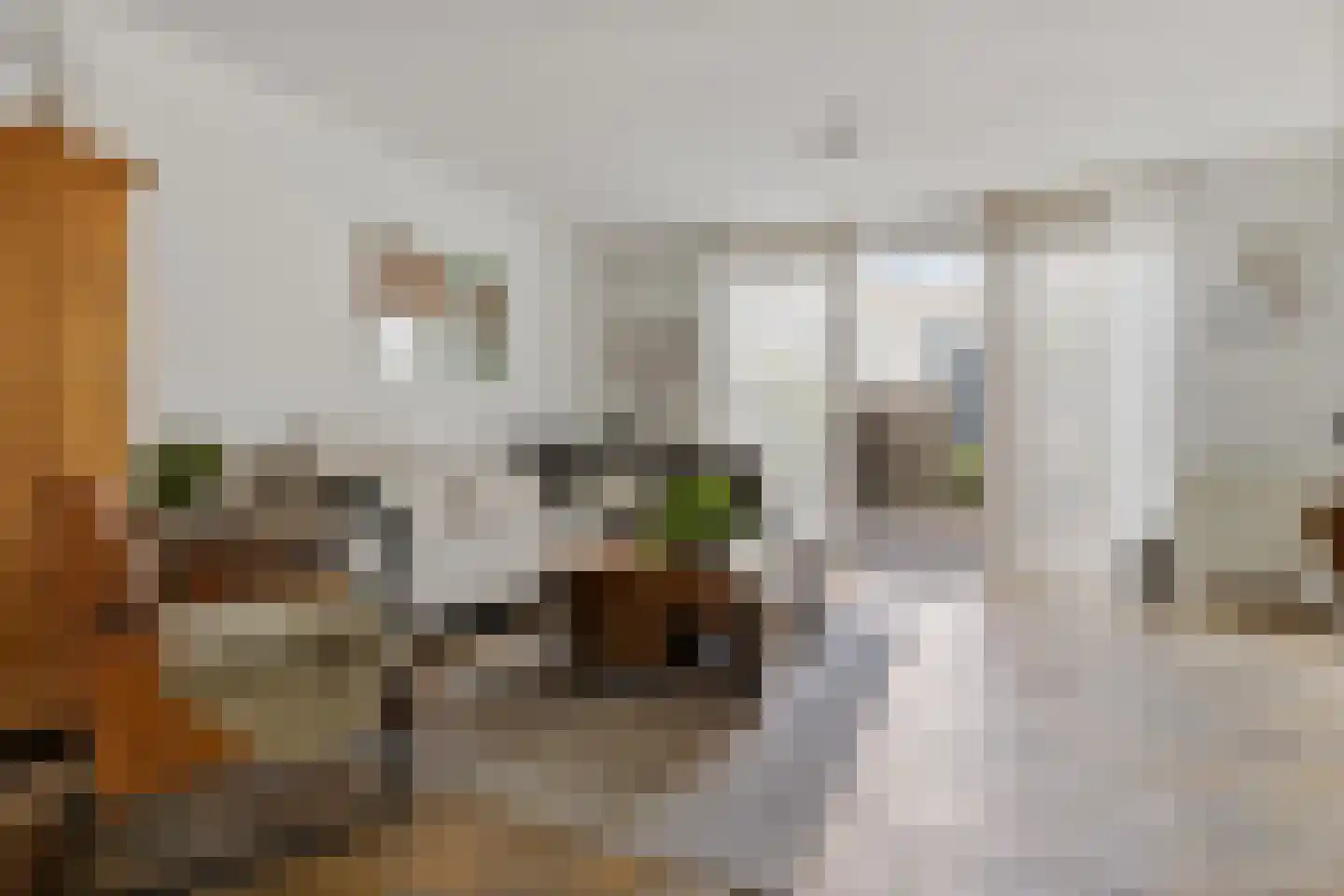 Vogelenzanglaan 5 Den Haag thumbnail 9