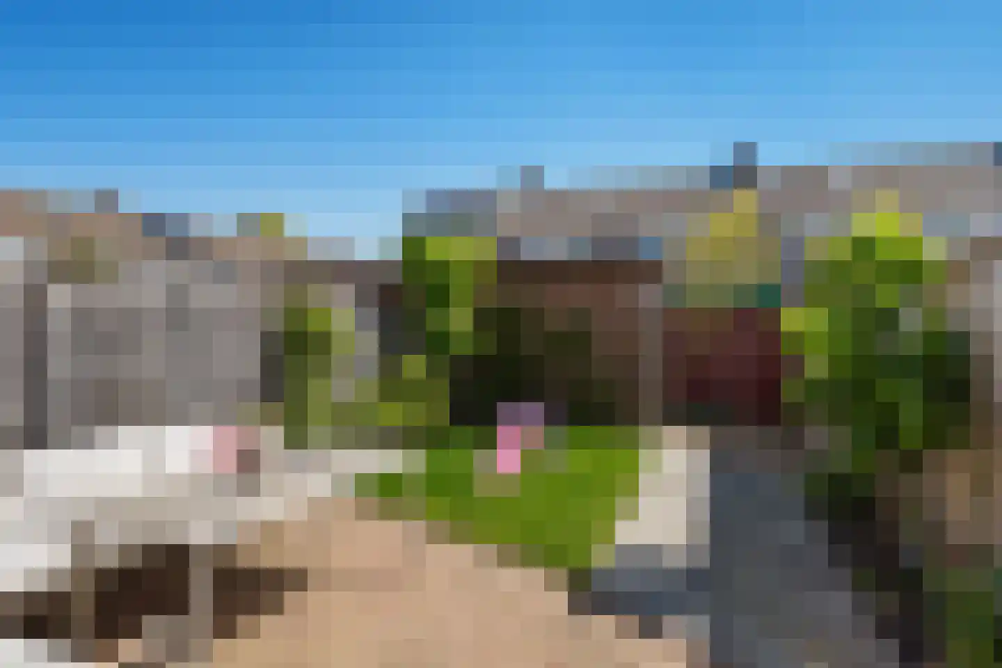 Vogelenzanglaan 53 Spijkenisse thumbnail 12