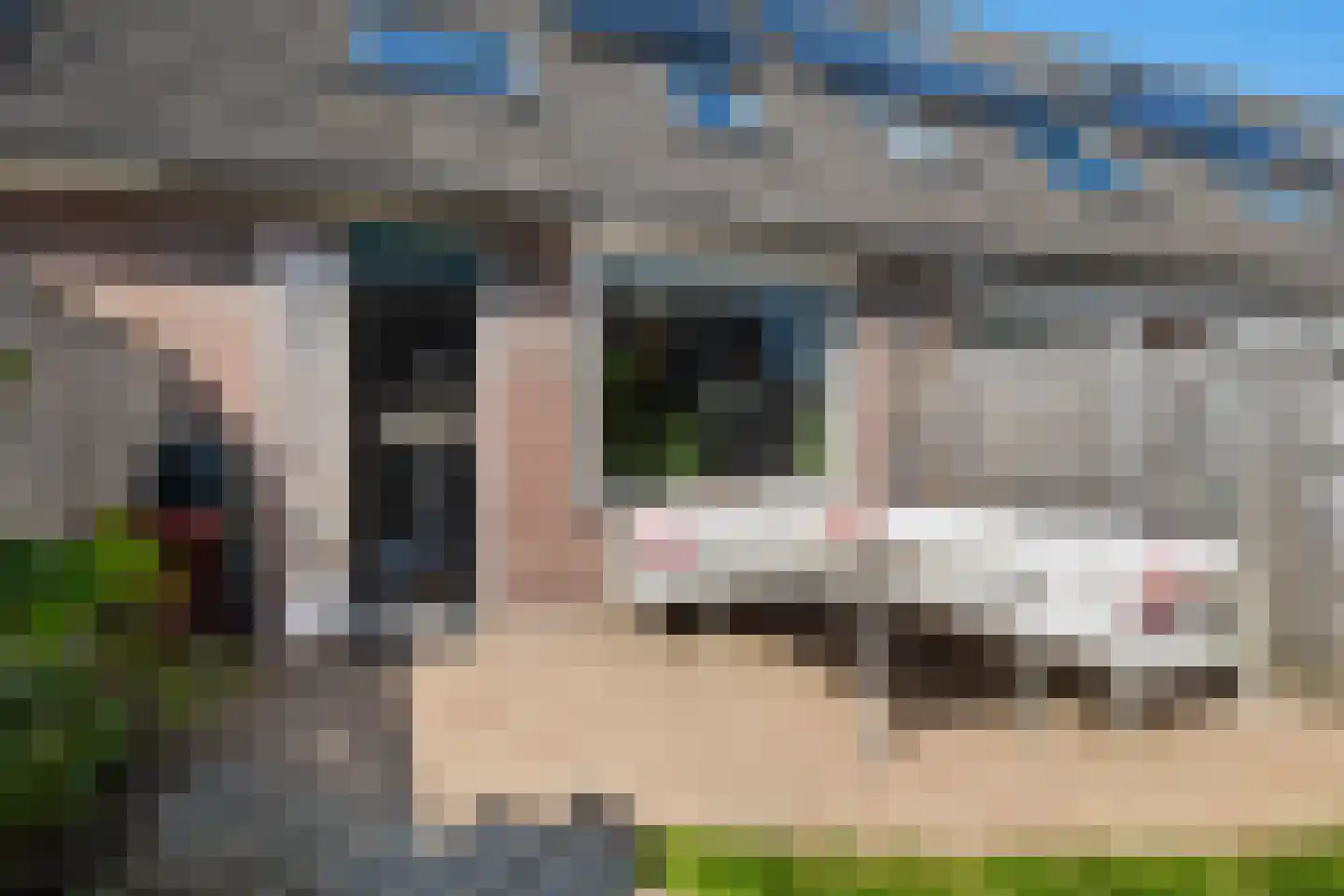 Vogelenzanglaan 53 Spijkenisse thumbnail 13