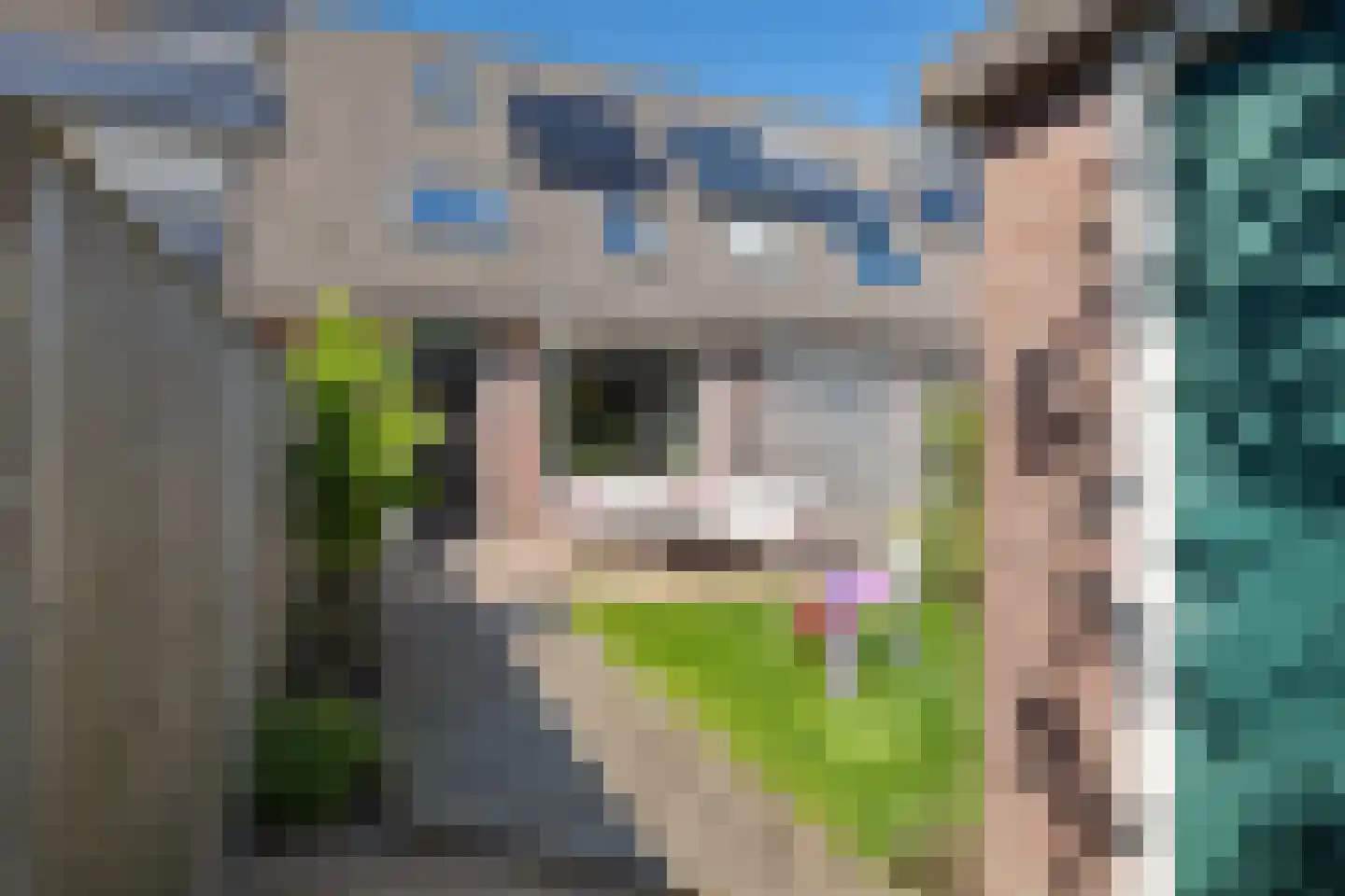 Vogelenzanglaan 53 Spijkenisse thumbnail 14