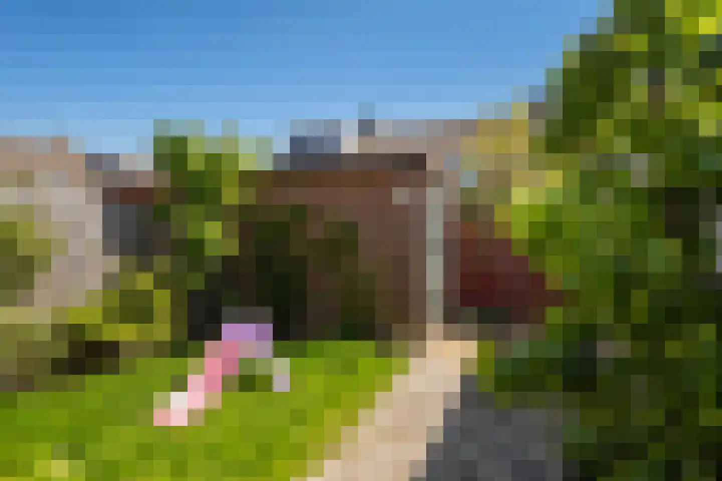 Vogelenzanglaan 53 Spijkenisse thumbnail 15