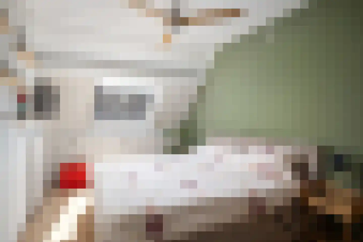 Vogelenzanglaan 53 Spijkenisse thumbnail 16