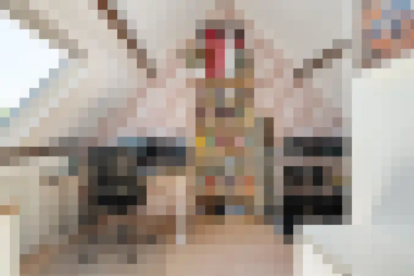 Vogelenzanglaan 53 Spijkenisse thumbnail 23