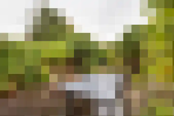 Vogelenzangseweg 167 Vogelenzang thumbnail 23