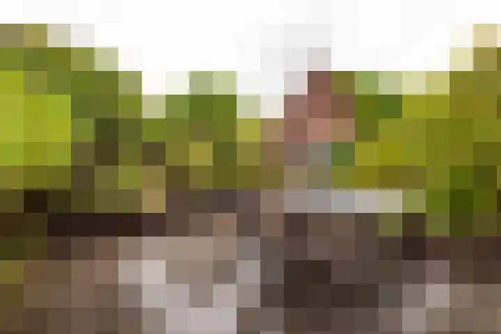 Vogelenzangseweg 167 Vogelenzang thumbnail 24