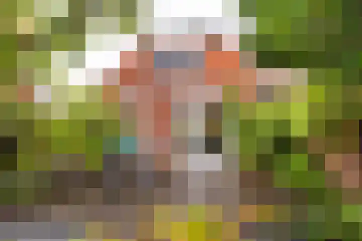 Vogelenzangseweg 167 Vogelenzang thumbnail 25