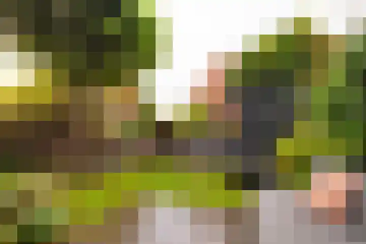 Vogelenzangseweg 167 Vogelenzang thumbnail 26
