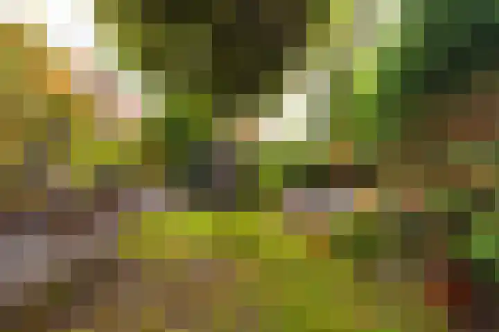 Vogelenzangseweg 167 Vogelenzang thumbnail 27