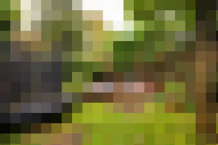 Vogelenzangseweg 167 Vogelenzang thumbnail 28