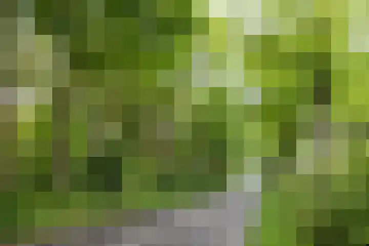 Vogelenzangseweg 167 Vogelenzang thumbnail 32