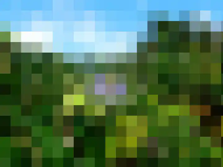 Vogelenzangseweg 167 Vogelenzang thumbnail 33