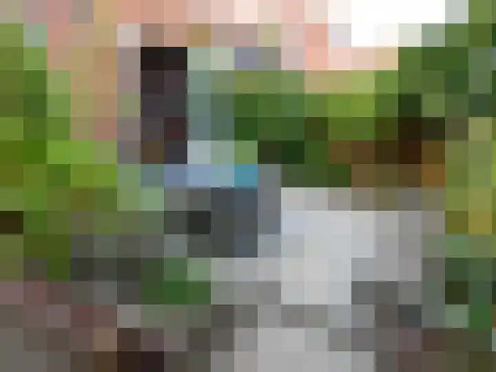 Vogelenzangseweg 167 Vogelenzang thumbnail 37